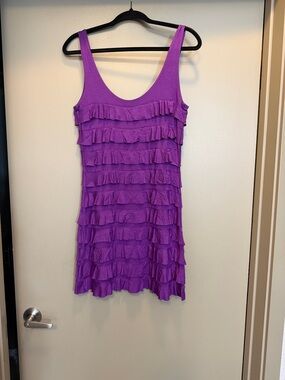 Express Purple Ruffle Tiered Mini Dress
